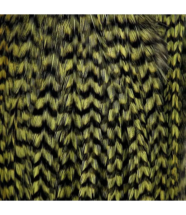 Wapsi DRY FLY NECK HACKLE MINI PACK LG, OLIV/GRIZ NKL189