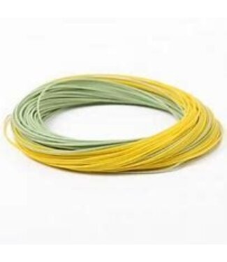 All Seasons Sports REAL GOLD WF9F W/ 2 LOOPS
