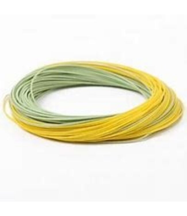 All Seasons Sports REAL GOLD WF9F W/ 2 LOOPS