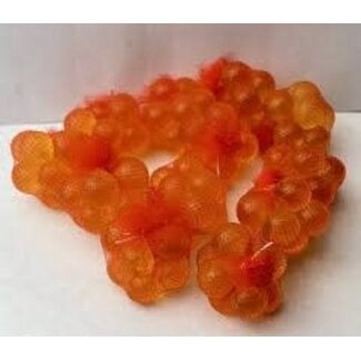 12 CT Orange Egg Sacs