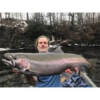 Salmon & Steelhead Fishing
