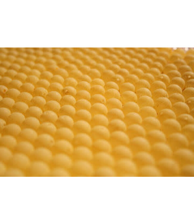 Great Lakes Steelhead Co Great Lakes Steelhead Co. Trick-Em' Beads 8 mm UV