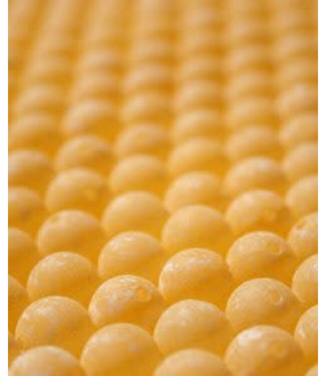 Great Lakes Steelhead Co Great Lakes Steelhead Trick-Em Beads 8 mm Scrambled