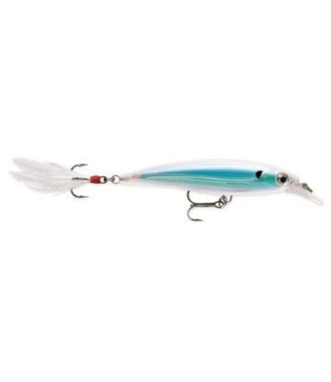 Rapala (XR10-AS) RAPALA X-RAP 4" ALBINO SHINER