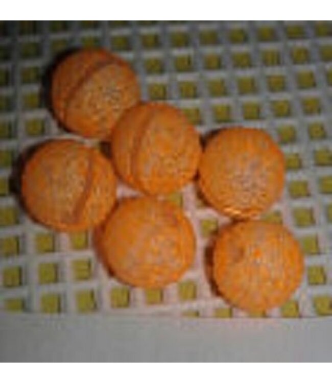 Lazy Larry Hot Orange Mottled