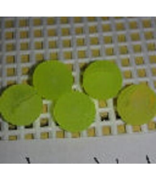 Lazy Larry Hot Yellow