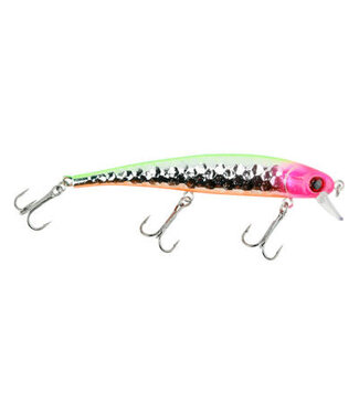 Pirate WC6 PIRATE SHALLOW DIVING MINNOW 5" EYE BANDIT
