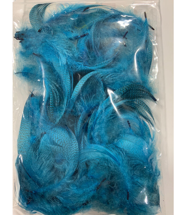 Wapsi (MBF194) MALLARD BARRED FLANK PEACOCK.BLUE