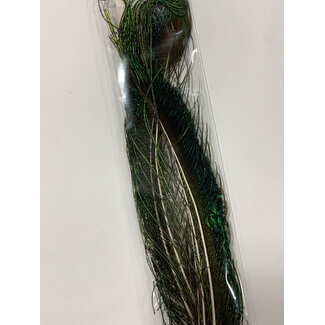 Wapsi (PES199) PEACOCK SWORDS, NATURAL