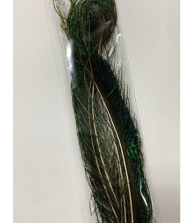 Wapsi (PES199) PEACOCK SWORDS, NATURAL