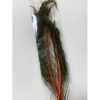 Wapsi (PES012) PEACOCK SWORDS ORANGE