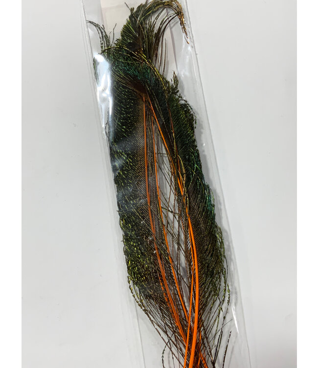 Wapsi (PES012) PEACOCK SWORDS ORANGE