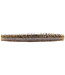 Z-MAN FISHING PRODUCTS INC. Z-MAN FINESSE TRD 2.75" GREEN PUMPKIN 8 PACK