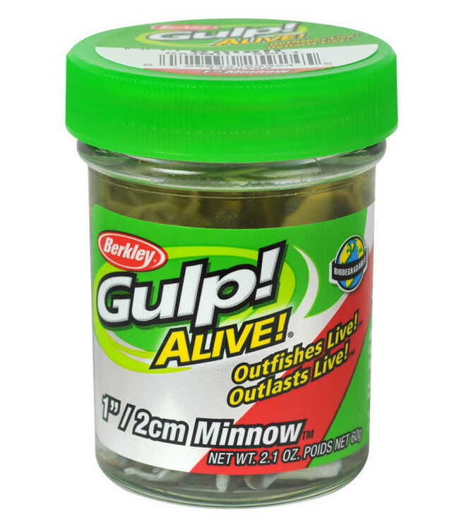 PURE FISHING BERKLEY Gulp! Alive!  1" Minnow 2.1oz Smelt 1160753