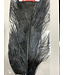 Wapsi OSTRICH PLUMES, BLACK OP100