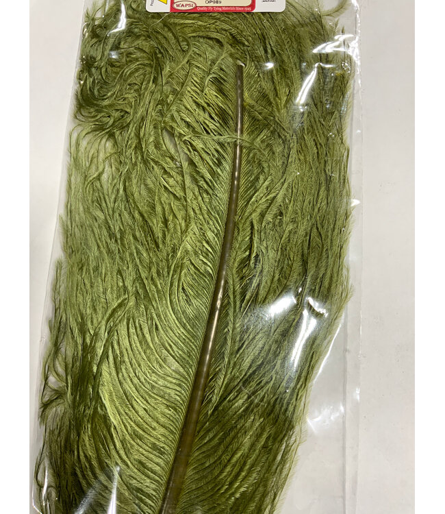 Wapsi OSTRICH PLUMES, OLIVE OP089