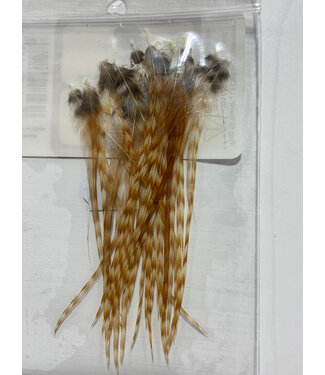 Wapsi (NKS026) DRY FLY NECK HACKLE MINI PACK SM, BLCH/GRIZ