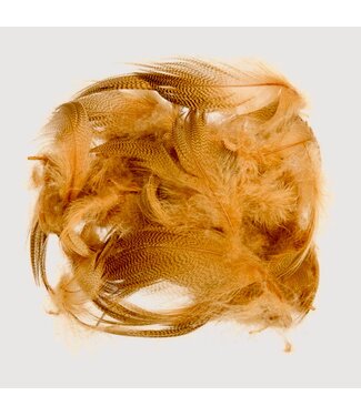 (MBF120) MALLARD BARRED FLANK AMBER