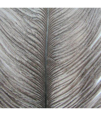 Wapsi OSTRICH HERL, DUN OH029