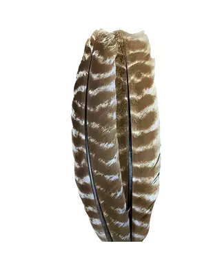 Wapsi (TQQ199) OZARK TURKEY QUILL, MUDDLER (NATURAL)