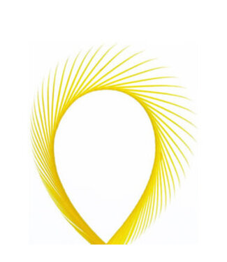 Wapsi GOOSE BIOTS, YELLOW SG006