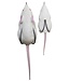 Lunkerhunt LUNKERHUNT FURENZY MOUSE - WHITE - 2" - 3/8 OZ