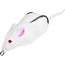 Lunkerhunt LUNKERHUNT FURENZY MOUSE - WHITE - 2" - 3/8 OZ