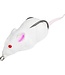 Lunkerhunt LUNKERHUNT FURENZY MOUSE - WHITE - 2" - 3/8 OZ