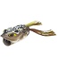 Lunkerhunt LUNKERHUNT COMPACT POPPING FROG 2" - 1/2OZ CROAKER