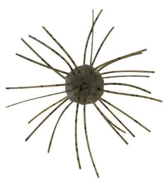 Z-MAN FISHING PRODUCTS INC. Z-MAN FUZZY NUGGETZ .5" GREEN PUMPKIN 4 PACK