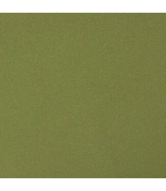 Wapsi FOAM BLOCKS, OLIVE (PFF089)