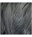 Wapsi STRUNG MARABOU, SHAD GRAY (MB137)