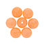 Catalyst Tackle LLC Catalyst  Beads Conquerer