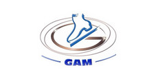 Gam Skates