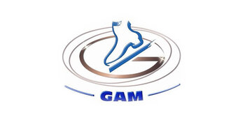 Gam Skates