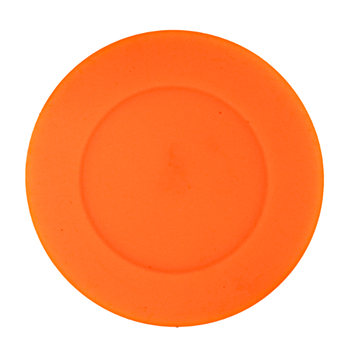 BLUE SPORTS STREET HOCKEY PUCK