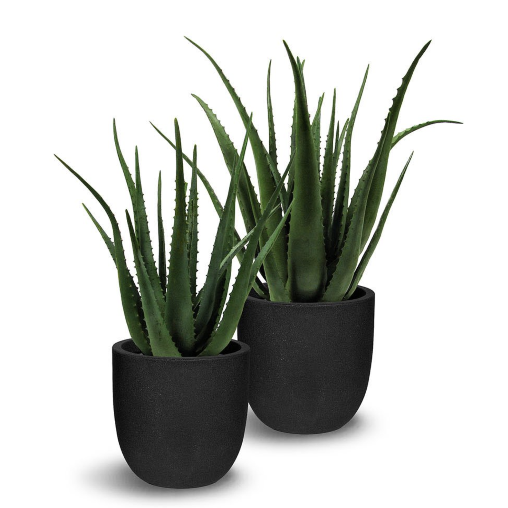 Aloe Faux Plant