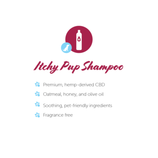cbdMD Paw CBD Pet Shampoo for Dogs - 250 mg - 12 oz