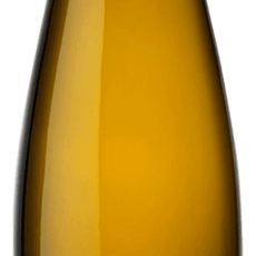 Sipp Mack Riesling "Tradition" 2022