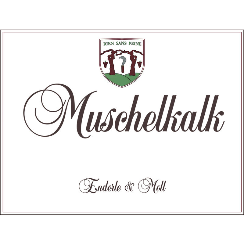 Enderle & Moll "Muschelkalk" Pinot Noir 2020