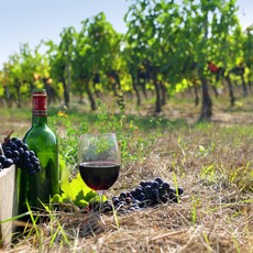 Binology  102:  The Basics of French Wine March 29th 2-3:30pm