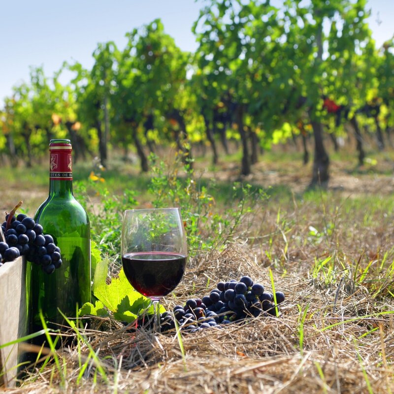 Binology  102:  The Basics of French Wine March 29th 2-3:30pm