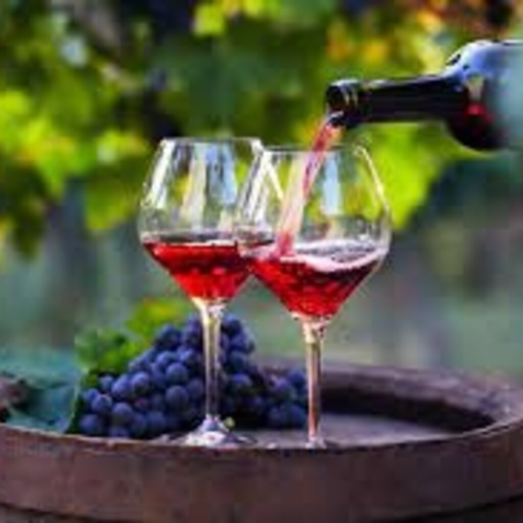 Bin 604 Wine + Spirits Binology 102: Basics of French Wine March 16th, 2024 2-3:30pm