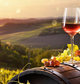 Binology 102: Basics of Italian Wine May 11th, 2024 2-3:30pm