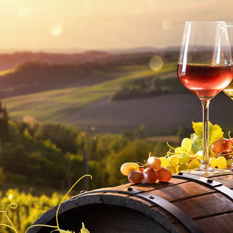 Binology 102: Basics of Italian Wine May 11th, 2024 2-3:30pm