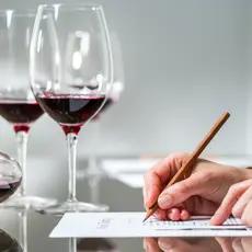 Binology 101: The Basics of Wine Tasting  March 1st 2025 2-3:30pm