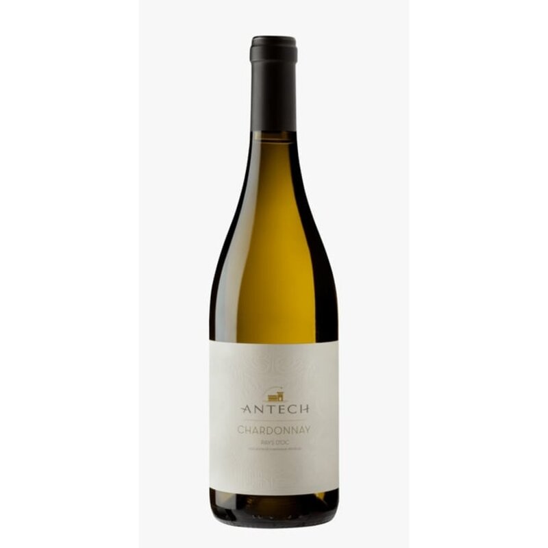 Antech Chardonnay 2023
