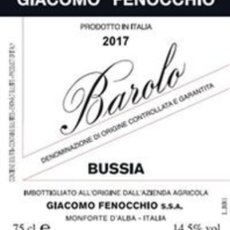 Giacomo Fenocchio Barolo Bussia 2020
