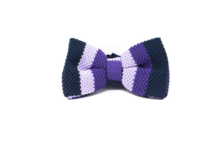 Ecliff Elie Knitted Navy Blue and Purple Stripes Bow Tie