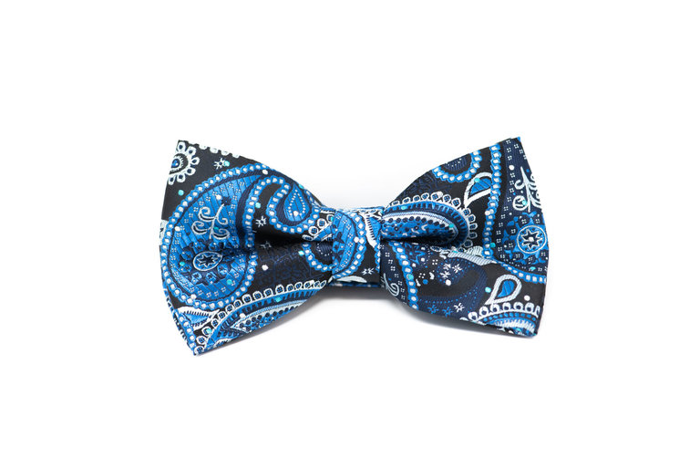 Ecliff Elie Sheen Finish Paisley Black & Blue Bow Tie